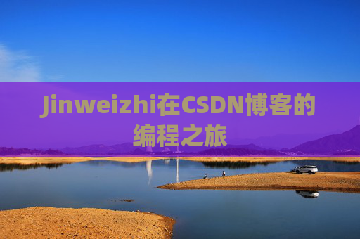 Jinweizhi在CSDN博客的编程之旅